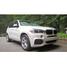 Степенки за BMW X5 F15 (2013-2018)